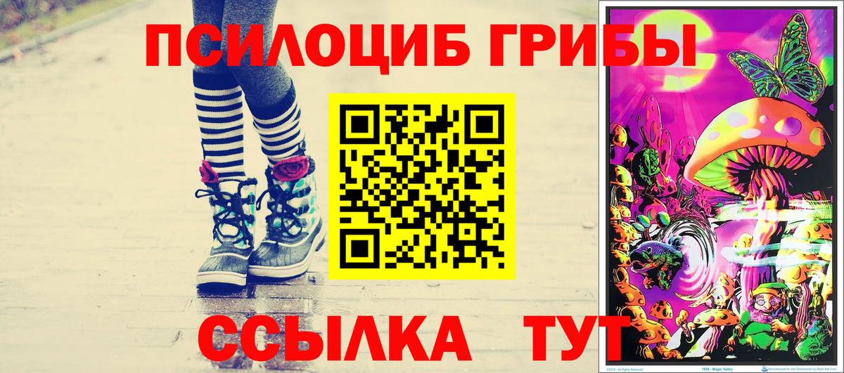 Гагарин  Галлюциногенные грибы мухоморы  купить наркотики цена  Псилоцибиновые грибы прущие грибы  Вход с VPN 