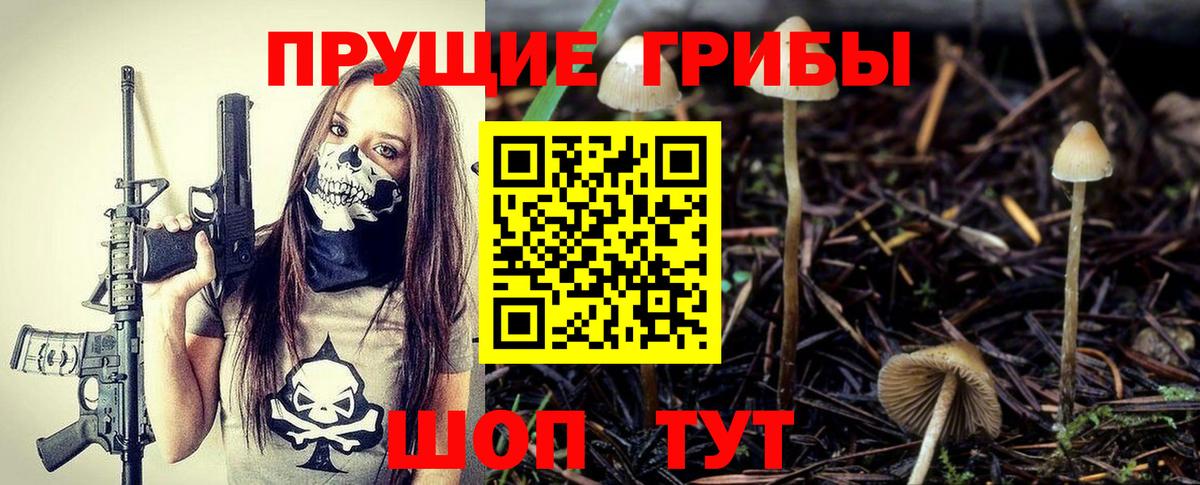 Галлюциногенные грибы Psilocybine cubensis Гагарин